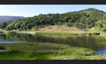 Imagem 2: Espetacular fazenda na ilha de Santa Catarina, área à venda, 3700000 m² Florianópolis/SC
