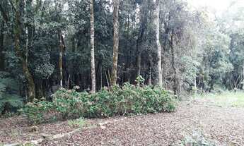 Imagem 5: Excelente Chácara em Condomínio Fechado