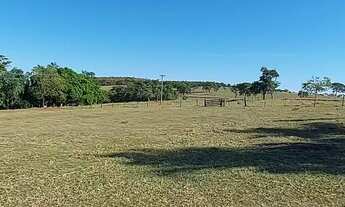 Imagem 2: Fazenda em ituiutaba 100 alqueirão 20.000.000.00 ( jam-ali
