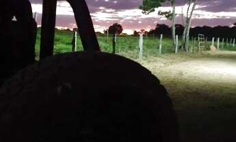 Imagem 6: Sítio para venda com 8 Alqueires e sede com 5 quartos