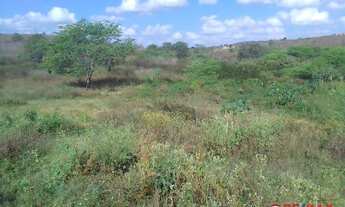 Imagem 3: Terreno para lotes Rendeiras