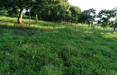 Imagem 11: Vendo Fazenda de 440 ha à 90 km Cuiabá - Rosário do Oeste MT(totalmene documenta e formada