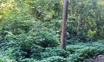 Imagem 3: Terreno para venda em Guapimirim (próximo à Casa do Queijo