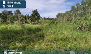 Imagem: Fazenda com potencial para agricultura no