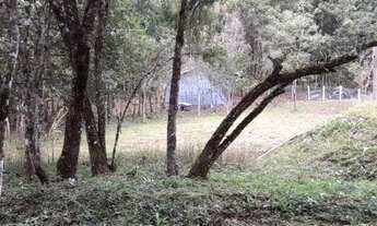 Imagem 4: Chácara à venda, 2000 m² por R$ 94.900 - Centro - Cerro Azul/PR