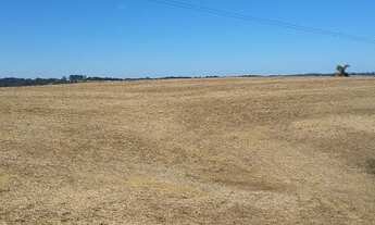 Imagem 6: Chácara Balsa Nova Bugre 20.000m², espetacular vista 360º, 40min Pq Barigui