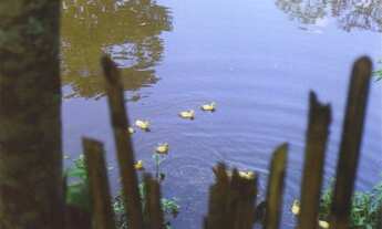 Imagem 5: Sítio 5ha, zona rural de Itabirito/MG, 63km de BH