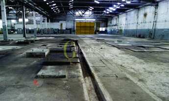 Imagem 3: Galpão/Depósito/Armazém