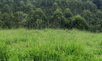 Imagem 5: Sítio à venda, 40000 m² - Estação - Ascurra/SC