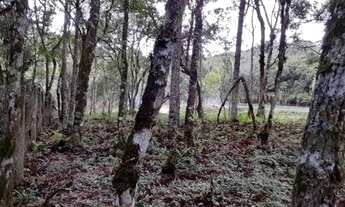 Imagem 7: Chácara à venda, 2000 m² por R$ 94.900 - Centro - Cerro Azul/PR