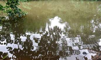 Imagem 6: Fazenda á venda com 96,25 hectares