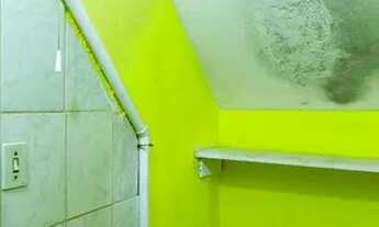 Imagem 7: Apartamento para Aluguel - Vila Campestre, 1 Quarto, 40 m2