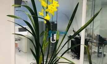 Imagem 3: Conjunto para alugar, 117 m² por R$ 9.500,00/mês - Vila Olímpia - São Paulo/SP