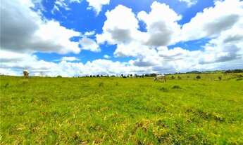 Imagem 3: Fazenda de 74 tarefas no entroncamento de São Miguel das Matas