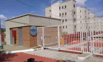 Imagem 3: Alugo apartamento ? no ALeixo prox Sesi, 2 quartos