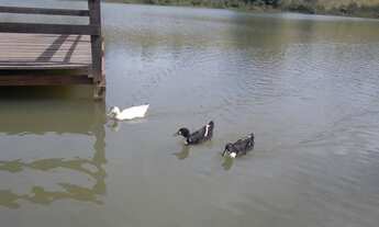 Imagem 3: Lotes de 1000m² em Capim Branco, Condomínio Ideal Para seu Lazer E Descanso