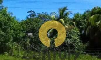 Imagem: Lote à venda no Mosqueiro