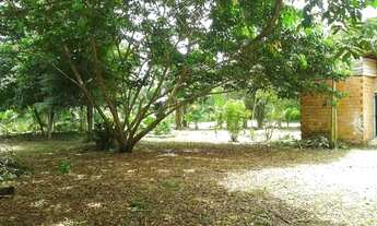 Imagem 6: Terreno em Mosqueiro