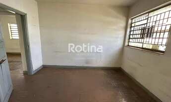 Imagem 2: Colônia à venda, 3 quartos, Osvaldo Rezende - Uberlândia/MG