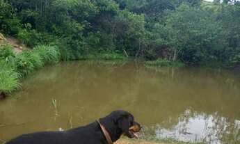 Imagem 4: Fazenda á venda com 96,25 hectares