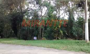 Imagem 2: Terreno em Serra Da Cantareira
