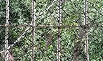 Imagem 6: Quarto individual em apt compartilhado Iputinga