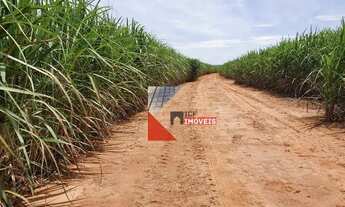 Imagem 6: Fazenda dupla aptidão com 1.275 alqueires paulista à venda em Regente Feijó - SP