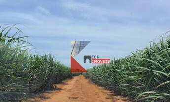 Imagem 7: Fazenda dupla aptidão com 1.275 alqueires paulista à venda em Regente Feijó - SP