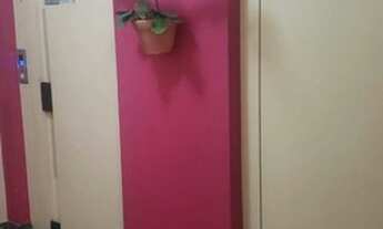 Imagem 7: EXCELLENTE APTO. 02 DORMS. A 50 METROS DO TERMINAL DIADEMA C/ GARAGEM