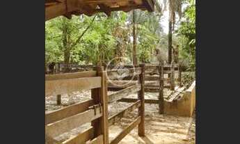 Imagem: Chácara Aparecida de Goiânia codigo 22981