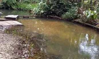 Imagem 2: Chácara com igarapé