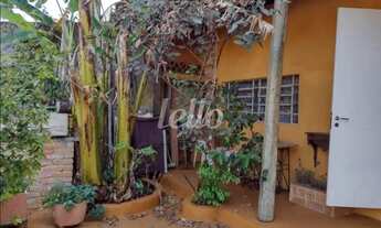 Imagem: São Paulo - Casa Padrão - Cambuci