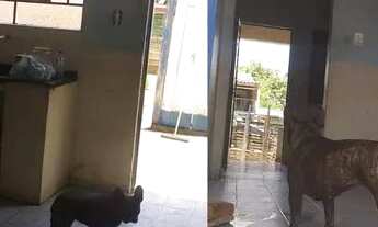 Imagem 4: Vende-se casa Votorantim bairro Bandeirantes