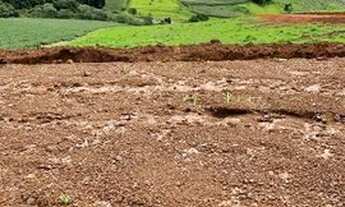 Imagem 2: Chácaras Trevizo - Fazenda/Sitio