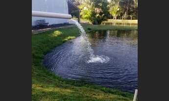 Imagem: Vendo chácara de 5 alqueiros 240 mil mts2