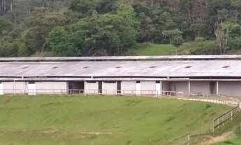 Imagem 5: Haras na Posse a venda