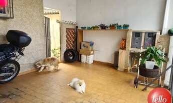 Imagem 4: São Paulo - Casa Padrão - Tucuruvi