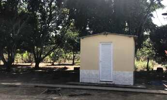 Imagem 4: Vendo ou troco belíssima chácara para laser, hotel fazenda, sistema de hortaliças orgânica