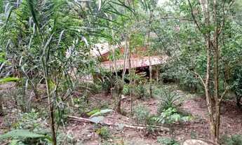 Imagem 3: Sítio de 8,5 alqueires em Paraibuna - SP