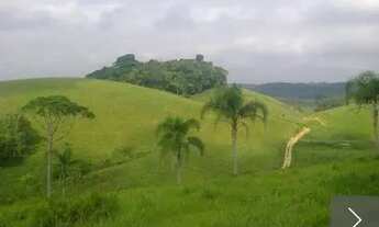 Imagem 7: Fazenda em Miracatu 230 alqueires paulista