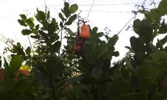 Imagem 7: Casa em Carapibus de 2 andares com piscina e estacionamento