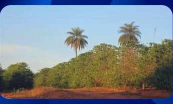 Imagem: PROPRIEDADE RURAL NO LUGAR DENOMINADO FAZENDA