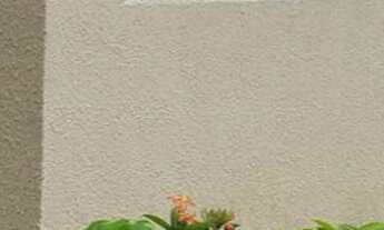 Imagem: Apartamento Mondubim