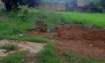 Imagem 2: Lote no SETOR PEDRO LUDOVICO