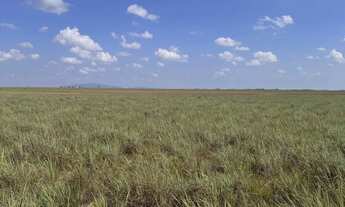 Imagem 3: Chacara no bom intento