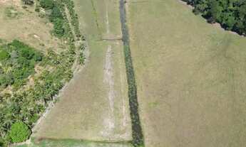 Imagem 4: Sitio a 1 km da BR trevo de Alfredo chaves tudo baixa 5 mil pé de café novos 2.8 alqures