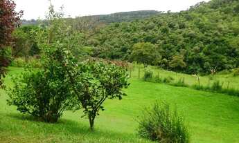 Imagem 2: Sítio com 3 dormitórios, 24000 m² - venda por R$ 1.705.000,00 ou aluguel por R$ 7.527,31/m