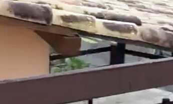 Imagem: Aluguel casa São Pedro da Aldeia, 3 quartos