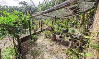 Imagem 7: Bela Chácara com Casa em alvenaria!