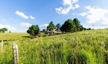 Imagem 5: Área São Luiz do Purunã - Witmarsum 31alq BR 376